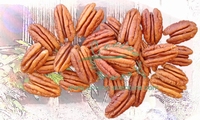 Pecan Nuts Shelled