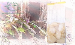 Prawn Crackers Small