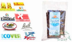 Algen Spaghetti Van De Zee (Wilde Atlantische Himanth&aacute;lia El