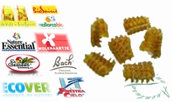 Pasta With Fine Herbs Organic