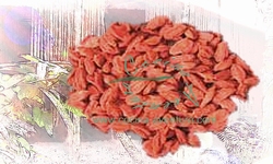 Goji Berries Dried