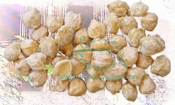 Candle Nut (Kemiri Nut)