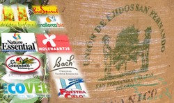 Organic Sunflower Seeds