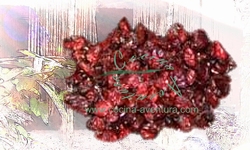 Dried Cranberries