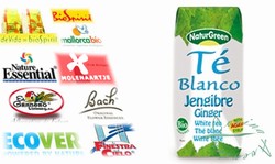 Witte Thee Met Gember Eco, Tetra