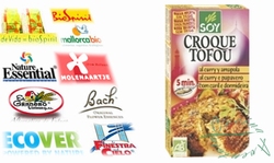 Vegetarian Hamburger Curry Organic