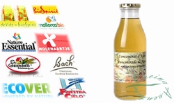 Agave Concentrated Organic