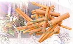 Cinnamon Sticks