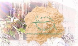 Kencur, Sand Ginger Ground (Kaempferia Galanga)