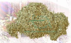 Coriander Leaf Dried