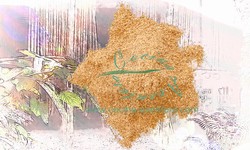 Korianderzaad Gemalen (Ketoembar)