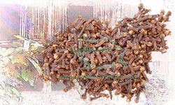 Cloves Whole