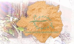 Galangal Root Ground