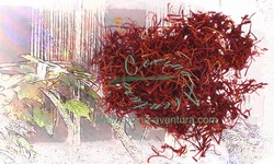 Saffron